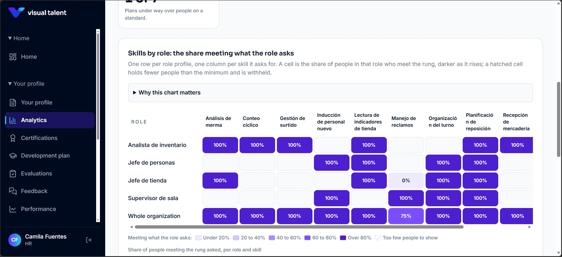 VisualTalent analytics: skills by role